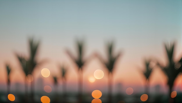 Photo a sunset view of palm trees and the sunset in the background