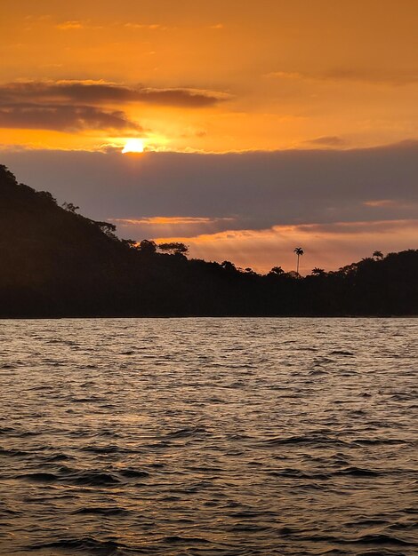 A sunset over the water with a palm tree in the foreground