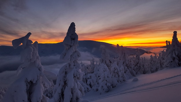 Sunset during the winter in Carpathians