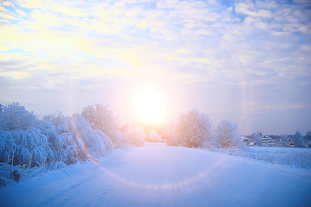 sunset in the winter forest / February sunset in the park, snow forest and sun, winter rest