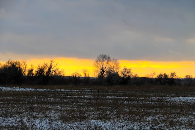 Sunset on the winter meadow