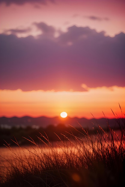 Photo a sunset with a field of grass and a sunset in the background