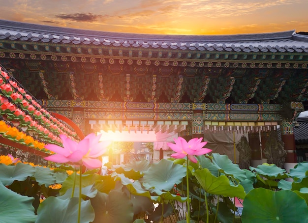 Sunset with lotus flower at Jogyesa Temple in Seoul South Korea