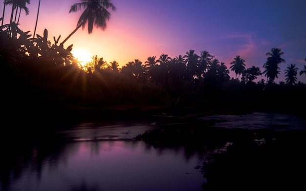 A sunset with palm trees in the foreground