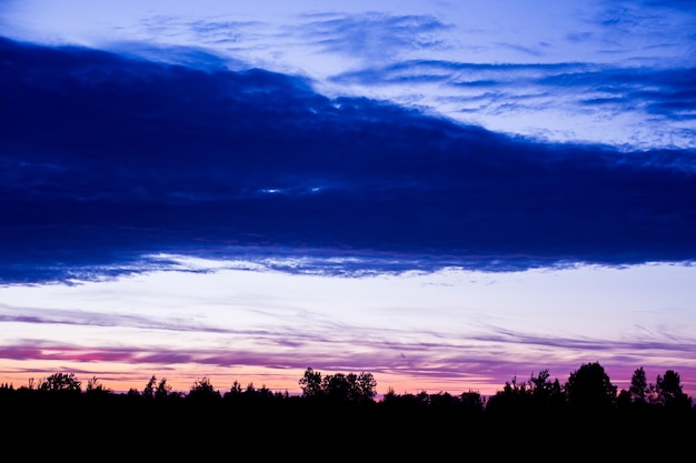 Sunset with the silhouette of the forest. There is space for text.