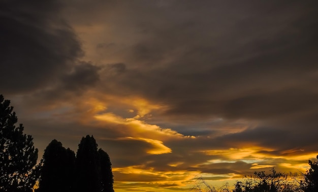 Sunset with wonderful clouds and dark trees