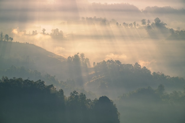 Sunshine beam through on fog hill