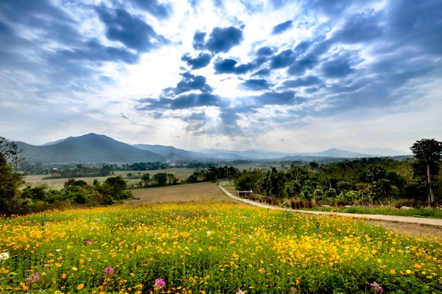 Sunshine over the valley