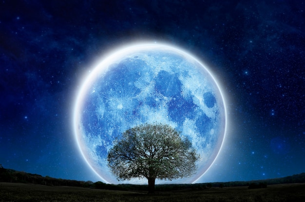 Super full moon above silhouette tree at the night on mountain forest. Lone moon and tree show live alone, Halloween and save nature. Silhouette tree on green grass field with big blue..