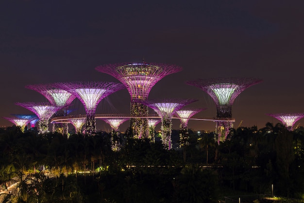 SuperTree Grove in Singapore