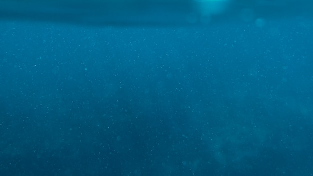 Surface blue underwater with plankton in tropical sea background