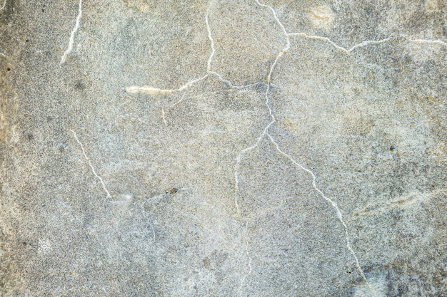 Surface of concrete gray wall of a military fortress in cracks covered with moss