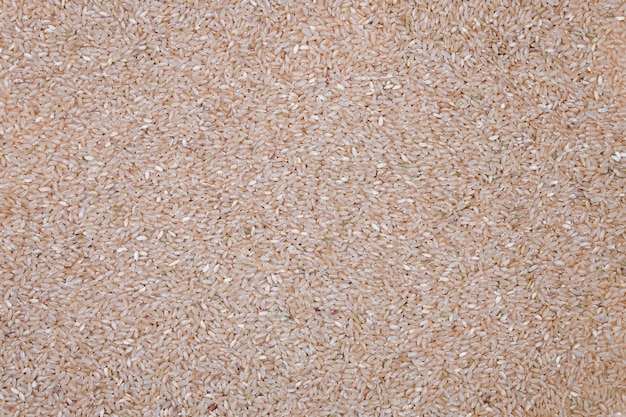 Surface of integral brown rice