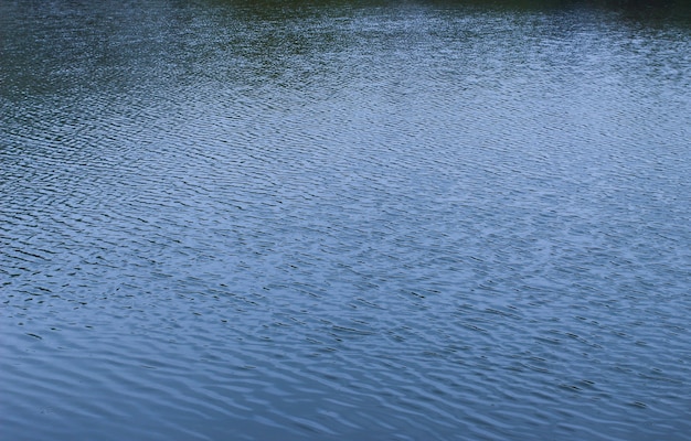 The surface of the lake is close-up