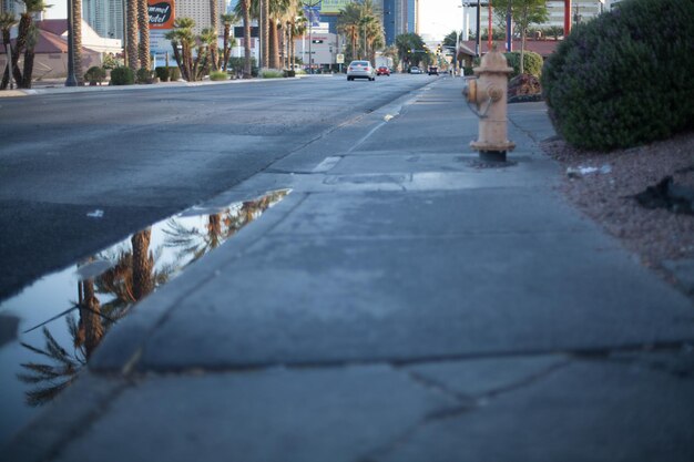 Surface level of city street