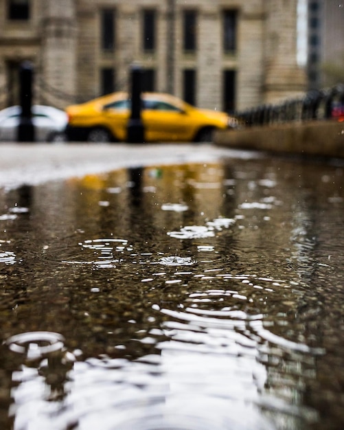 Surface level of puddle on sidewalk in city