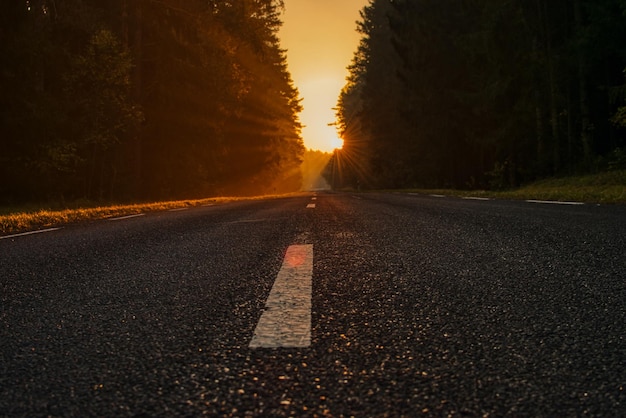 Surface level of road at sunset