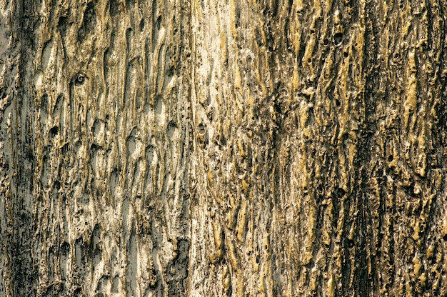 Surface of the stone for natural background