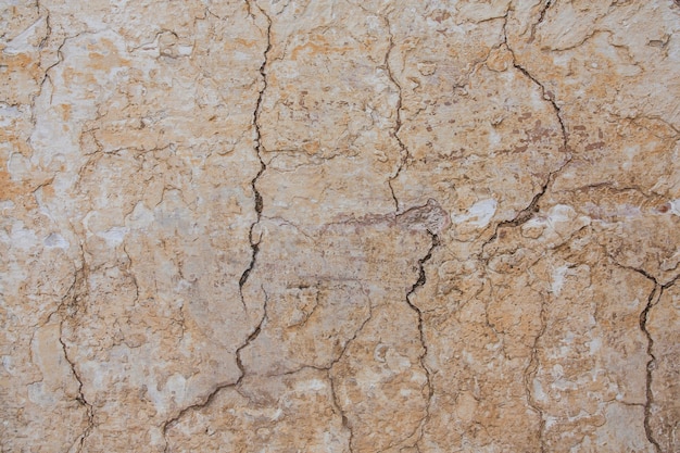 Surface texture of the old cement wall