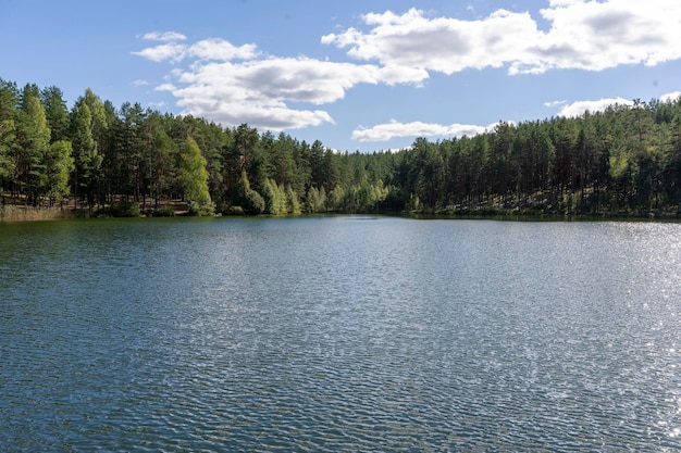 Surface of the water on the forest lake