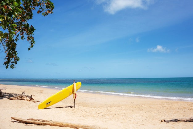 Surfboard On Tropical Beach In Summer, Vintage Color Tone.