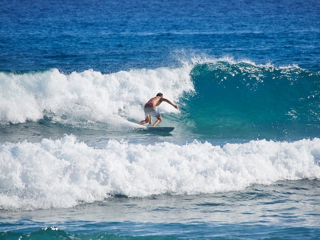 Surfer rides on a wave. Wave of the Atlantic Ocean. Warm tropical water.