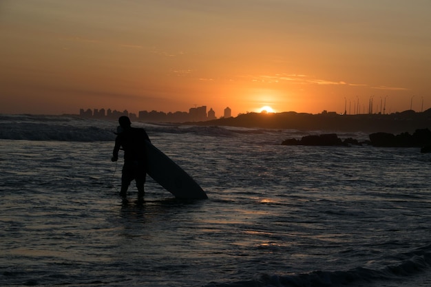 Surfers in the beach during sunset