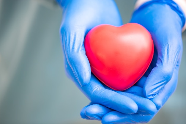 Surgeon holding a Heart.Anatomy human Heart model.