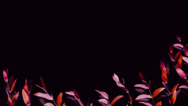 Surreal foliage pattern design. Art minimalism. Red pink stems on black