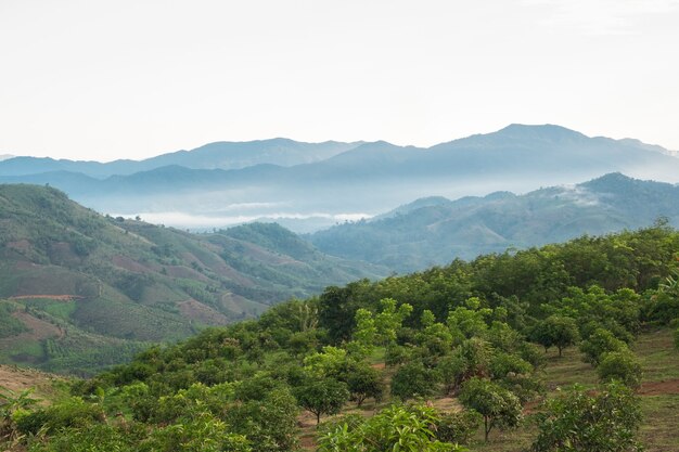 Surreal landscape of morning foggy..Morning clouds at sunrise.Landscape of fog and mountains of northern laos.