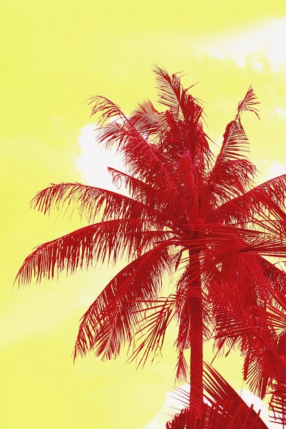 Surreal Pop Art Style Red Palm Tree on Yellow Sky