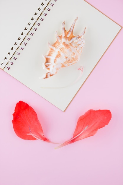 Surrealistic concept Gladiolus petals and seashell Creative concept on pink background