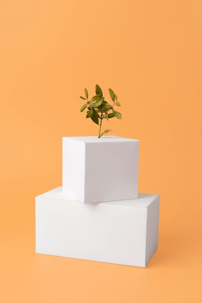 Sustainability concept with plants growing from blank geometric forms