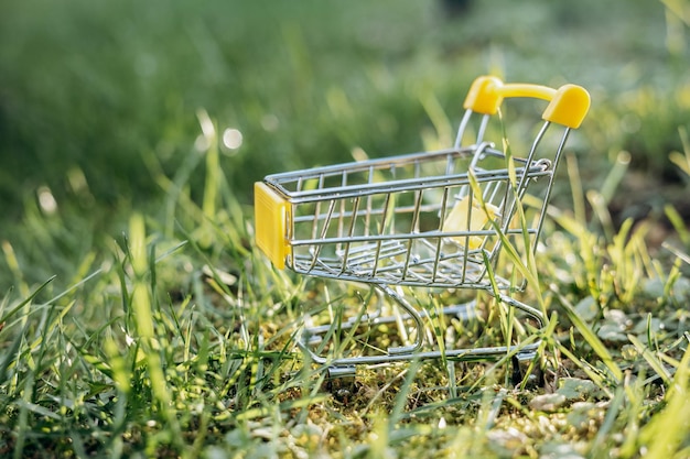 Sustainable consumption Empty shopping cart on green grass background Zero waste concept Copy space