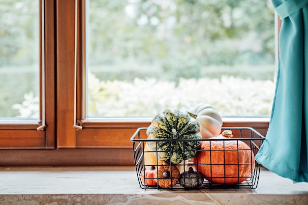 Sustainable eco friendly slow living thanksgiving various thanksgiving pumpkins in metal basket near