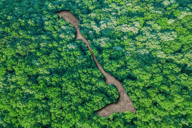 Sustainable habitat Map of Bahamas, Environment concept