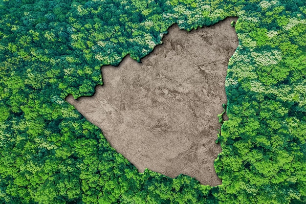 Sustainable habitat Map of Nicaragua, Environment concept