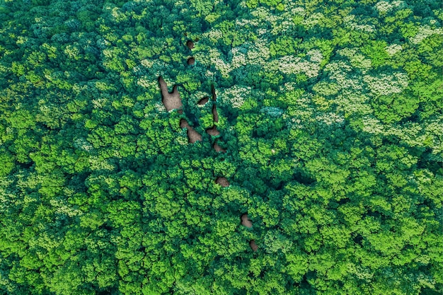 Sustainable habitat Map of Vanuatu, Environment concept