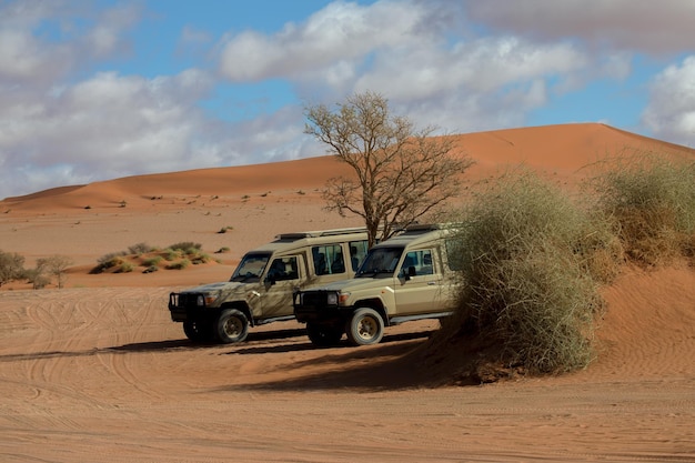 SUVs in the Namibian desert