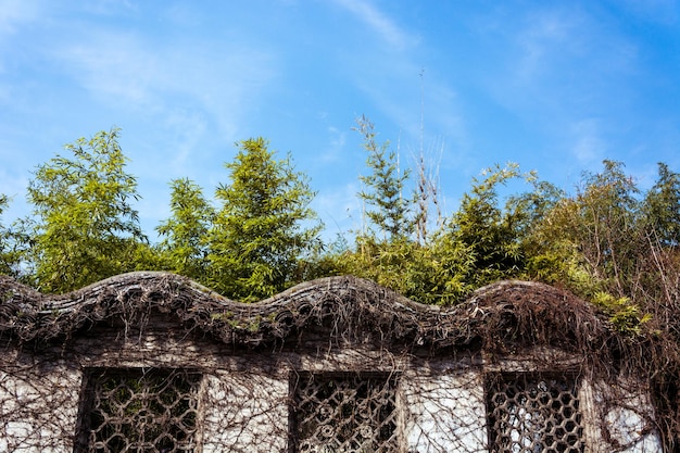 Suzhou zhuozheng park