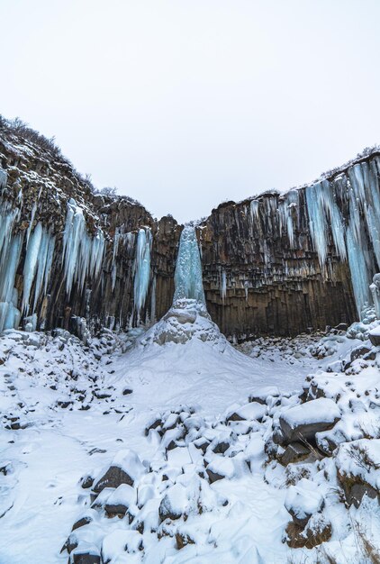 Photo svartifoss iceland black waterfall completely frozen with bluish stalactites. vertical wallpaper