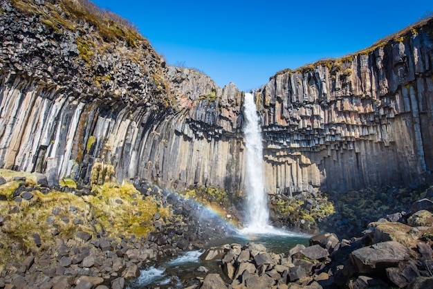 Svartifoss in midday no clounds in Iceland with rainbow