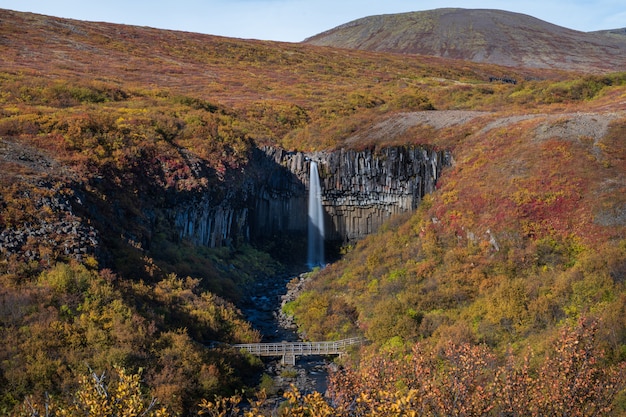 Svartifoss waterfall in the autumn, Iceland