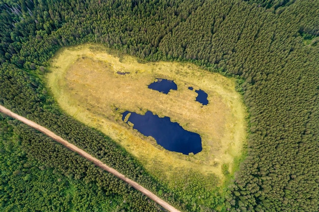 Swamp in the form of a smiling ghost