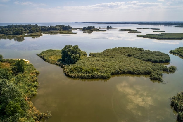 Swampy lake, aerial photography, on a summer day, background image