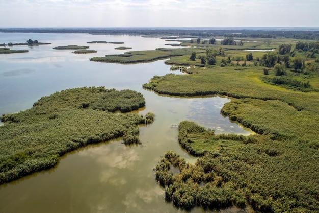 Swampy lake, aerial photography, on a summer day, background image