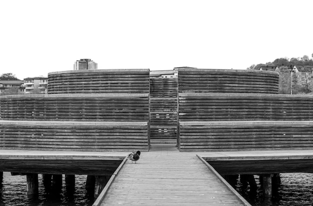 Sweden Stockholm Hammarby Observatorium Views of the waters birds nature and the city