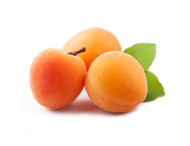 Sweet apricots with leaves