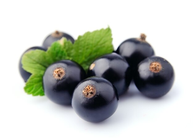 Sweet black currant with leaves close up on white