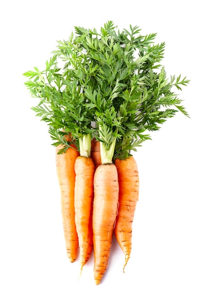 Sweet carrots